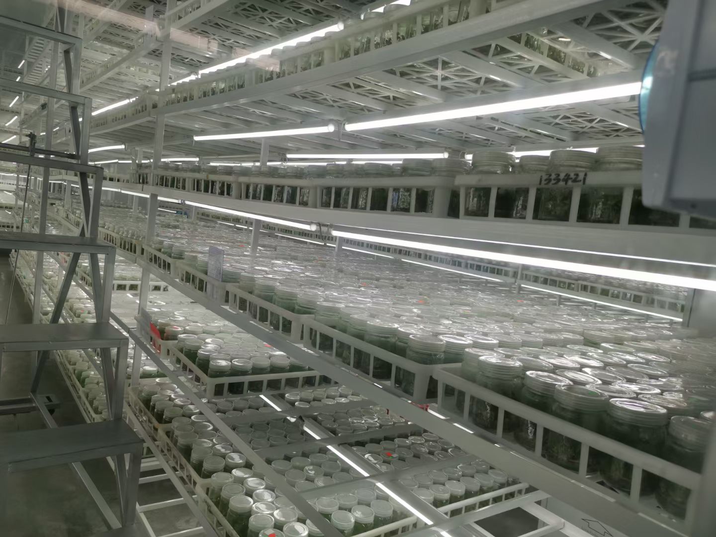客户大批量育苗应用