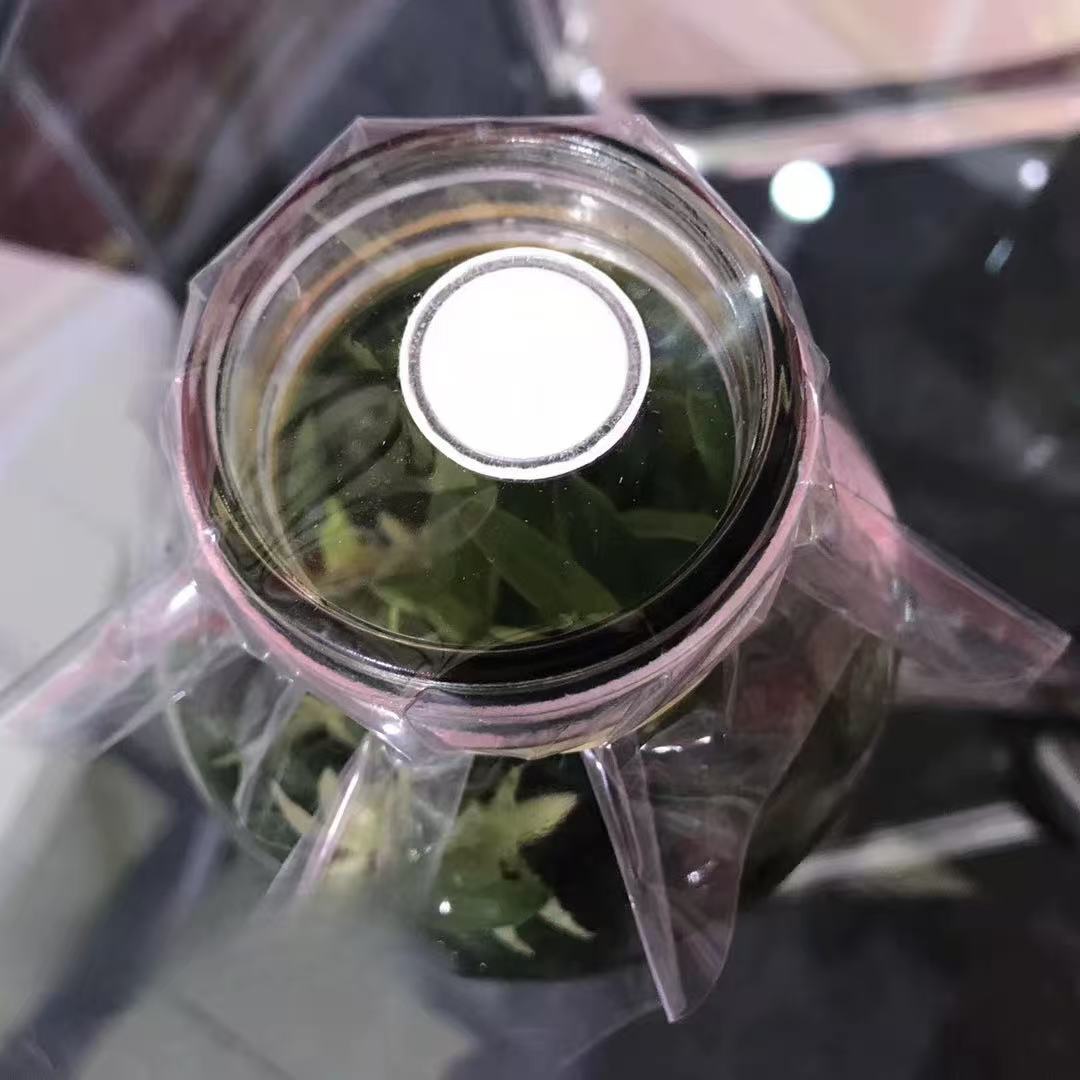 透气封口膜应用效果